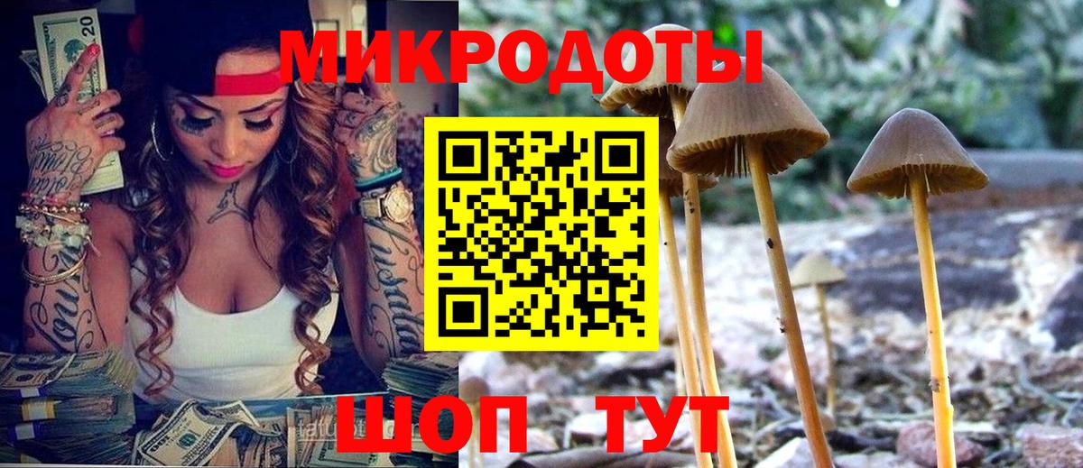 Галлюциногенные грибы мухоморы Моршанск